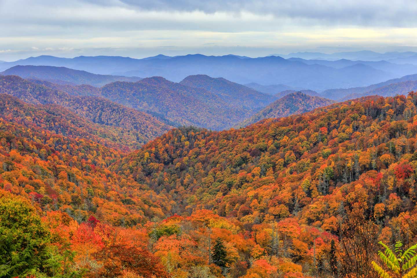 The Great Smoky Mountains with Fall colors The Great Smoky Mountains with Fall colors
